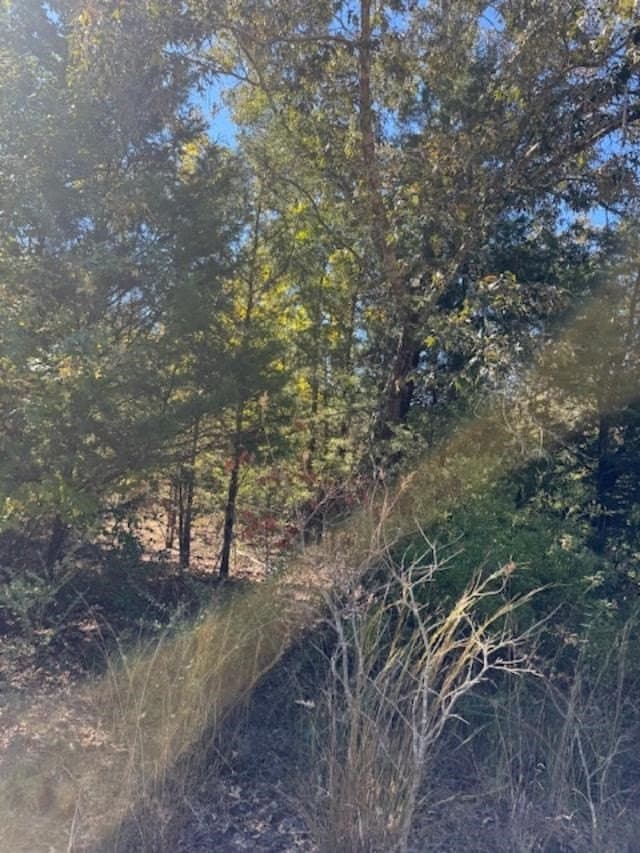 87 acres in VAN ZANDT County - photo 6