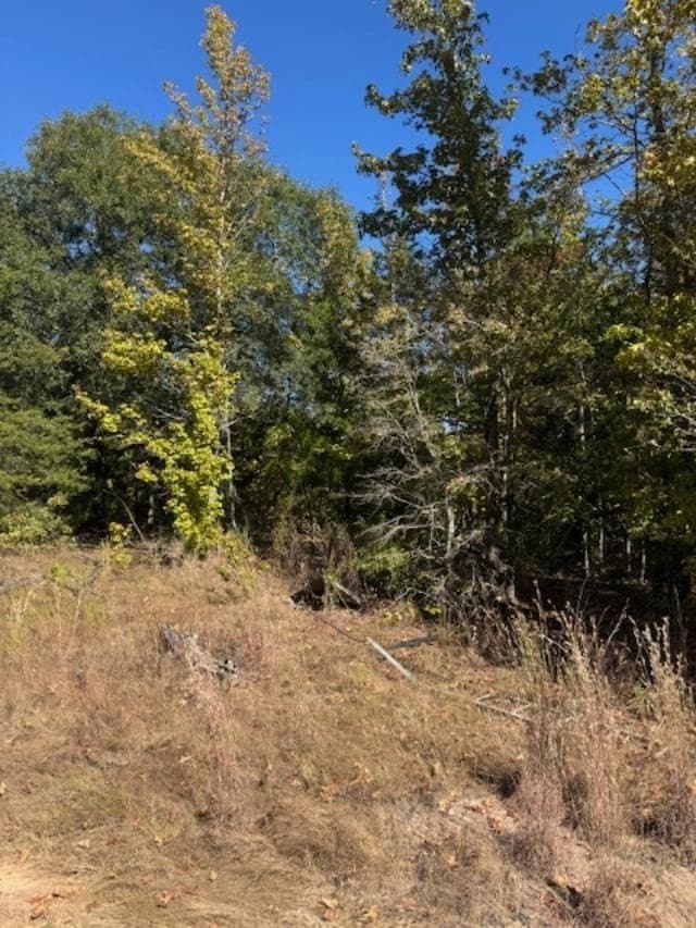 87 acres in VAN ZANDT County featured view