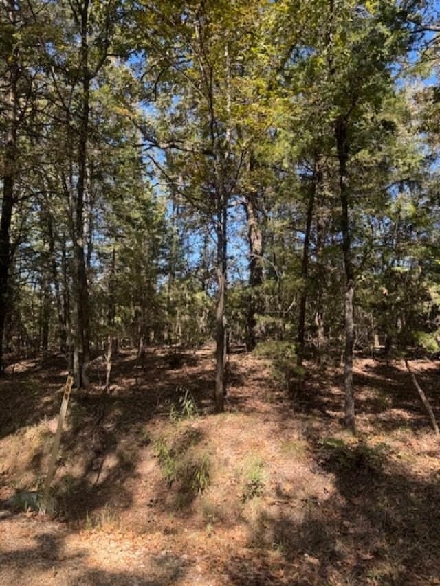 87 acres in VAN ZANDT County - photo 8