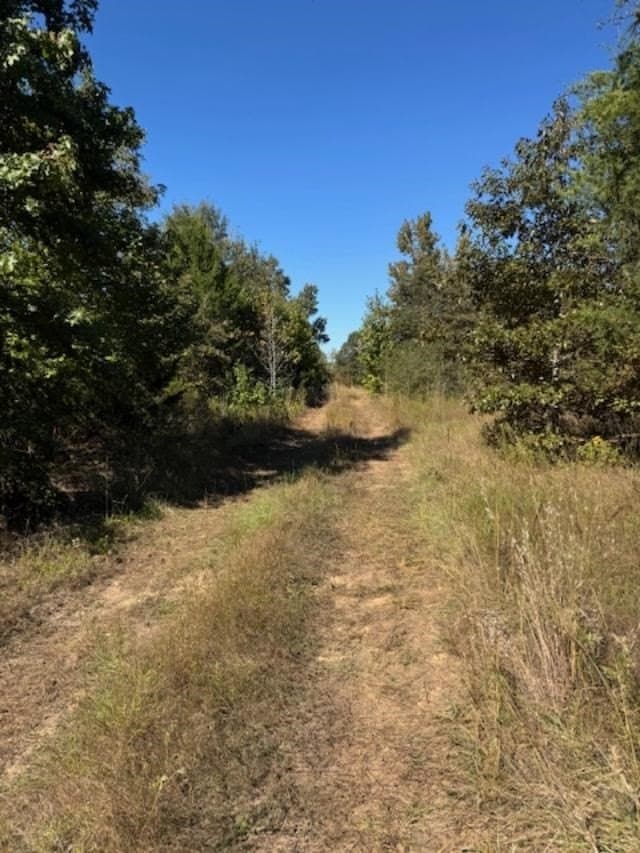87 acres in VAN ZANDT County gallery image 3