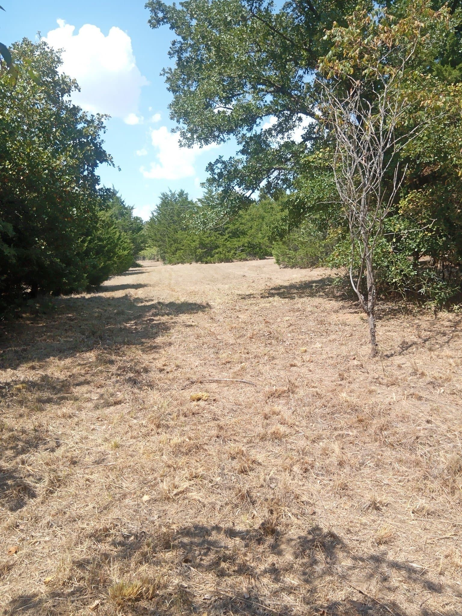 10.13 acres in Hill County - photo 5