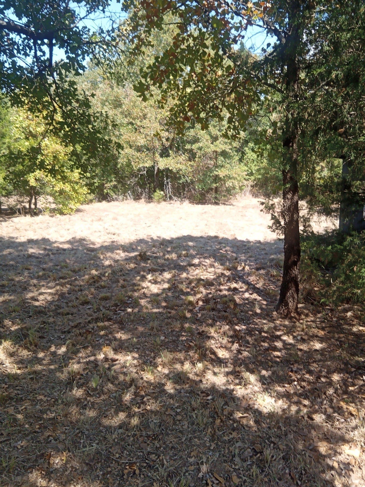10.13 acres in Hill County - photo 3