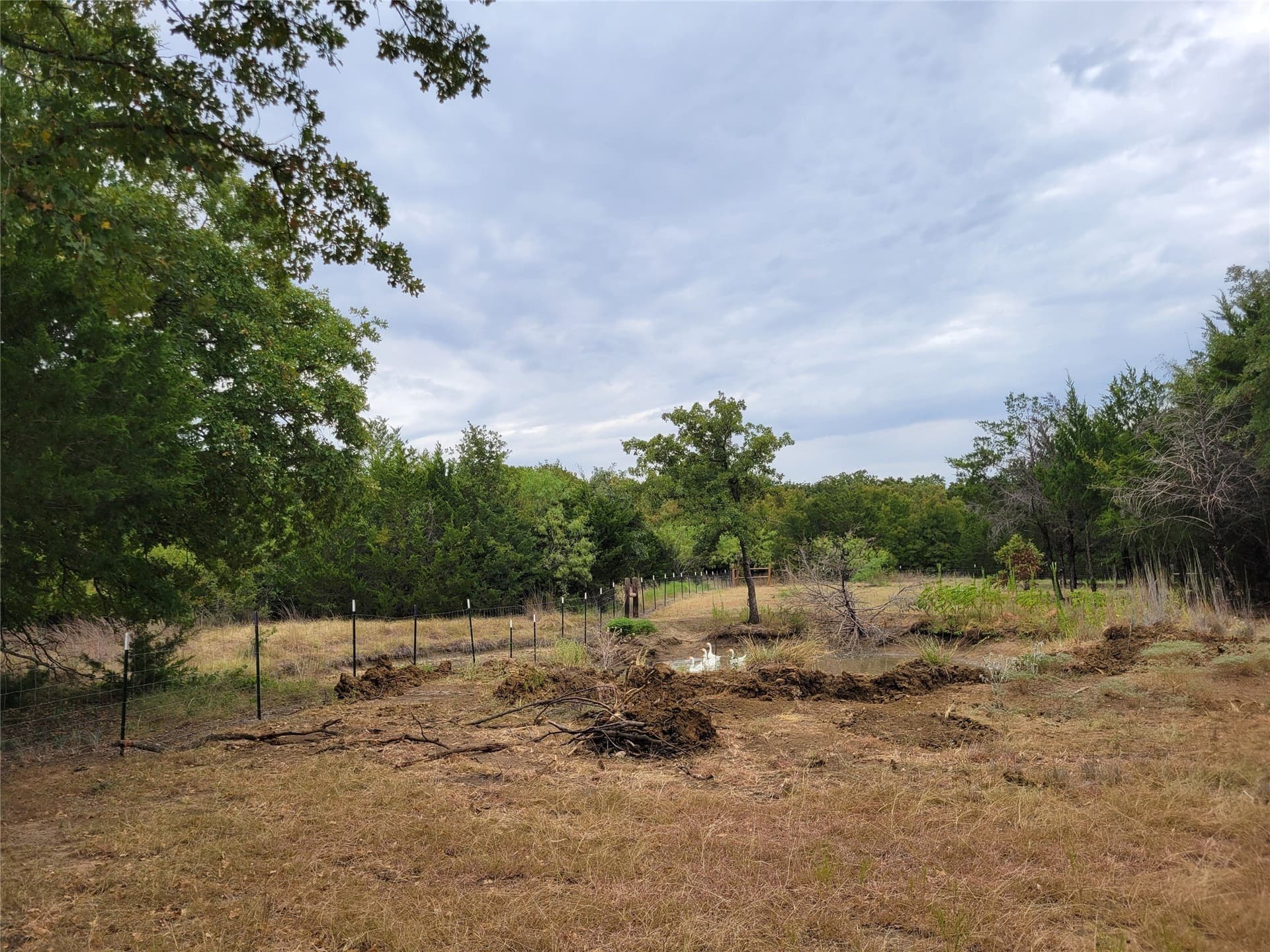 10.13 acres in Hill County - photo 12
