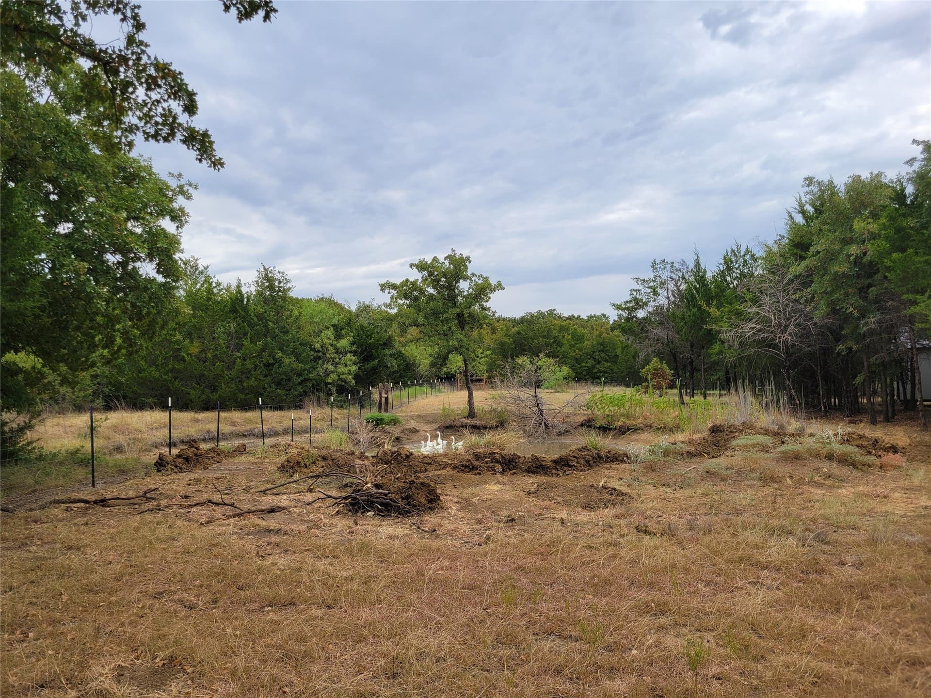 10.13 acres in Hill County - photo 13