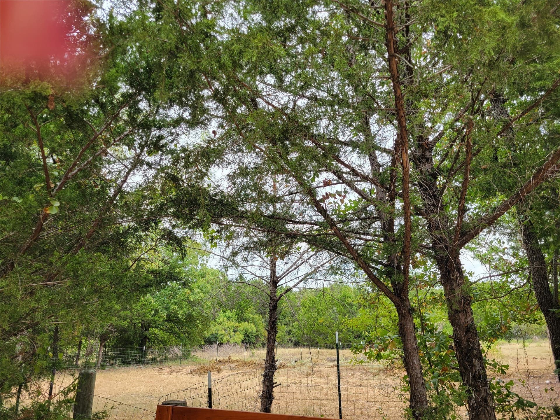 10.13 acres in Hill County - photo 10