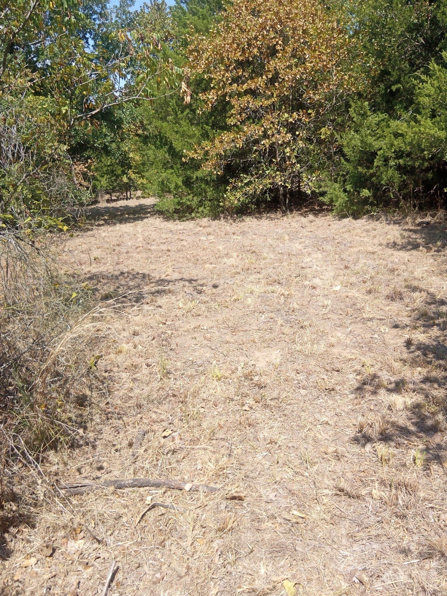 10.13 acres in Hill County - photo 8
