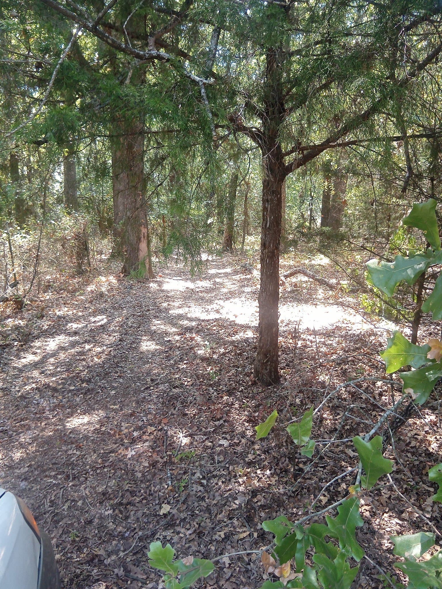 10.13 acres in Hill County - photo 4