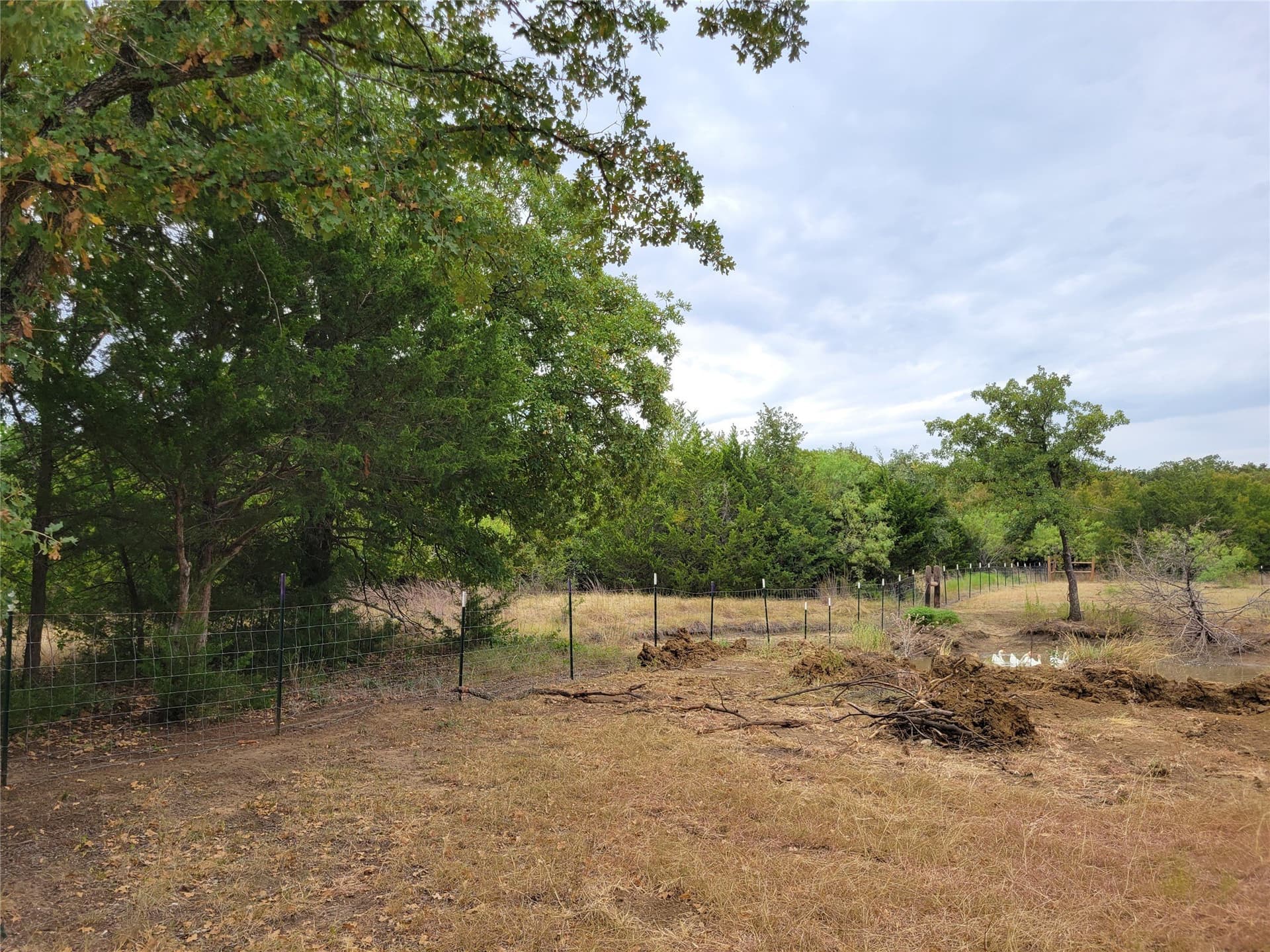 10.13 acres in Hill County - photo 14