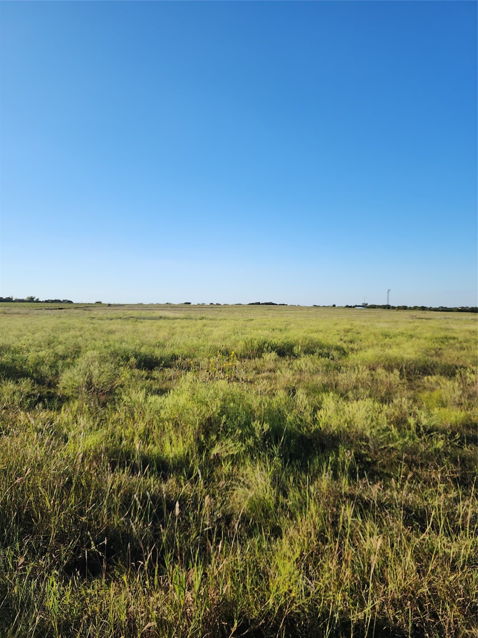 24.49 acres in Ellis County - photo 5