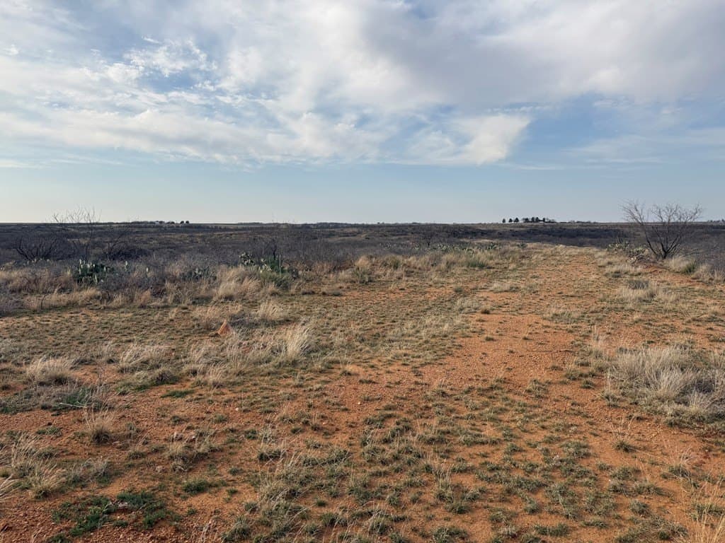 28.11 acres in Mitchell County gallery image 4