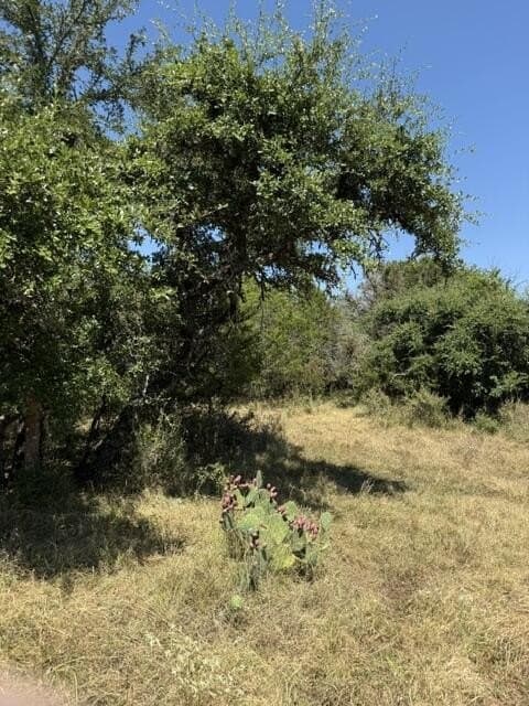 10.53 acres in San Saba County - photo 21
