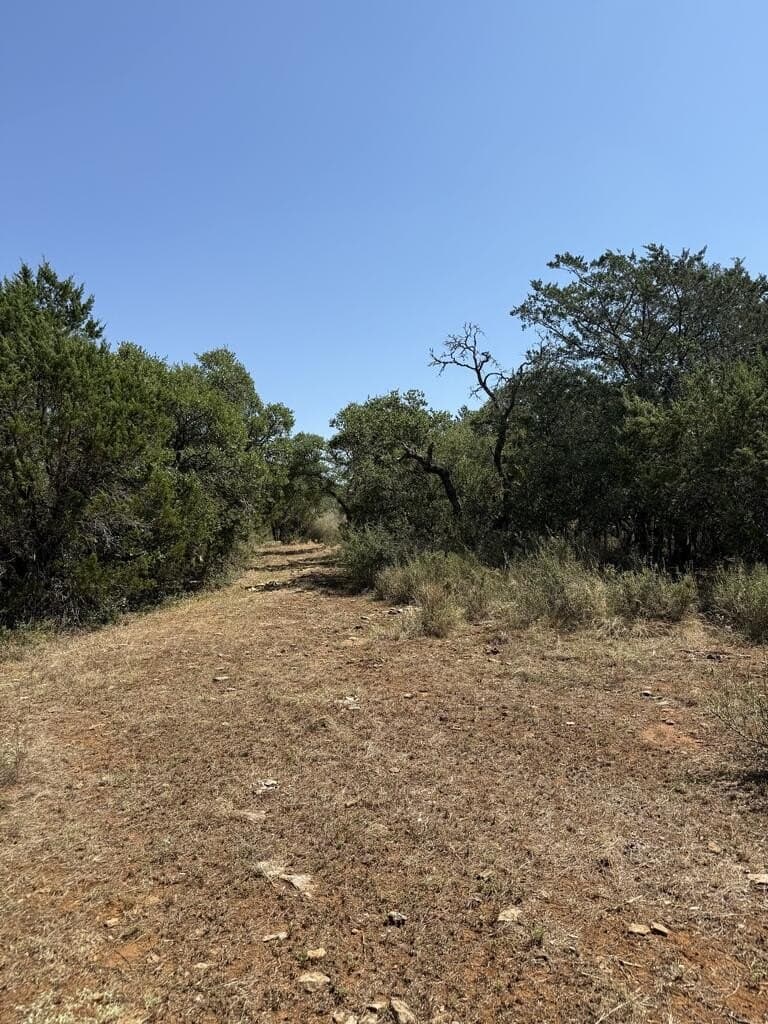10.53 acres in San Saba County - photo 16