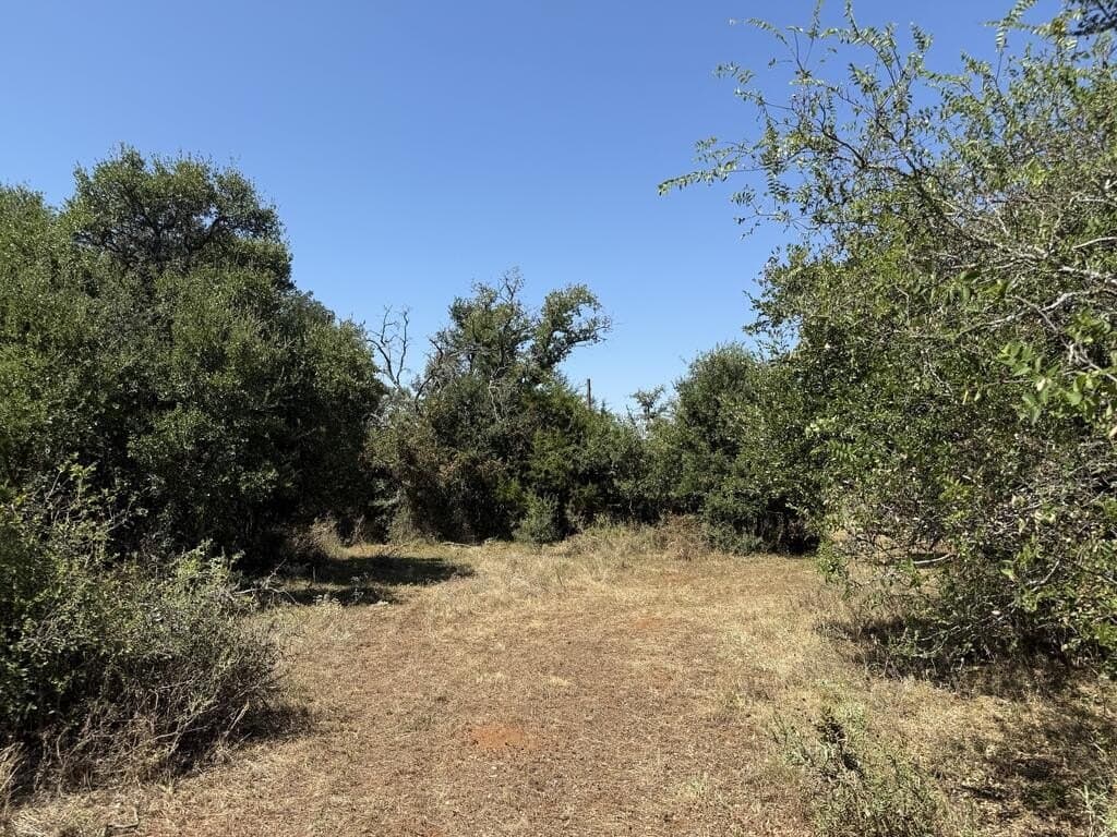 10.53 acres in San Saba County - photo 17