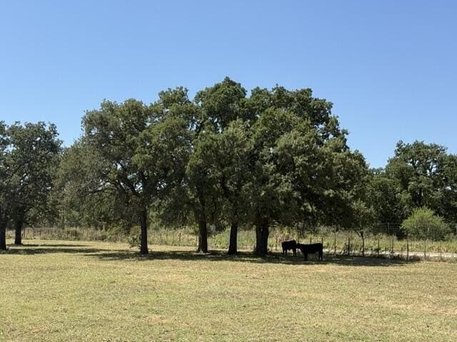 10.53 acres in San Saba County - photo 42