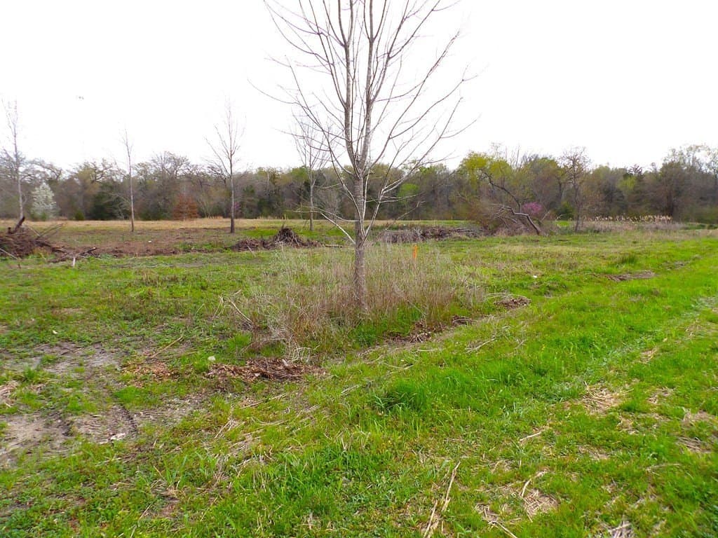 5.23 acres in Texas County - photo 13