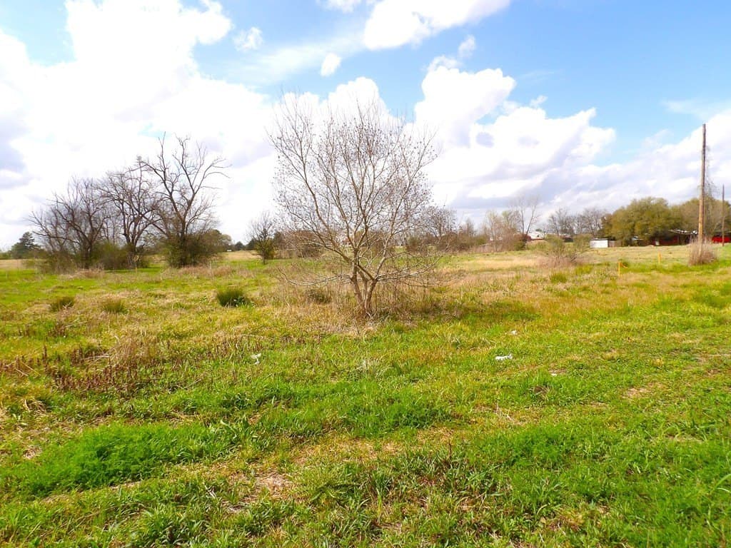 5.23 acres in Texas County - photo 7