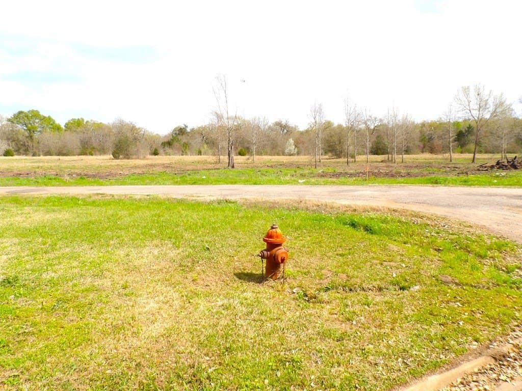 5.23 acres in Texas County - photo 16