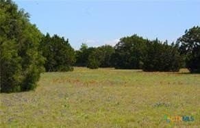 12.57 acres in Bell County gallery image 4