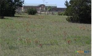 12.57 acres in Bell County gallery image 3