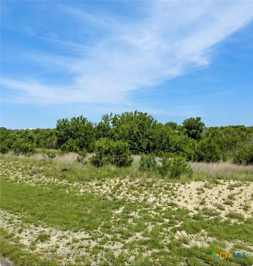 7.87 acres in Lampasas County gallery image 2