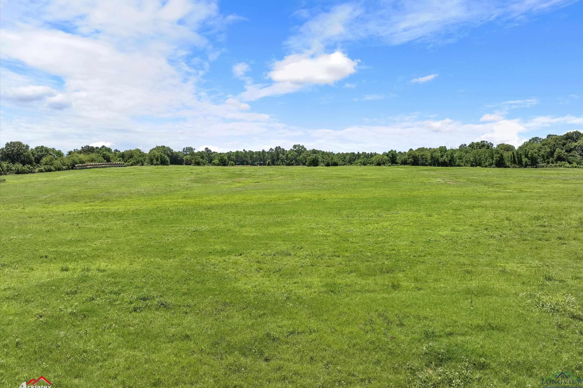 51.16 acres in Shelby County gallery image 4