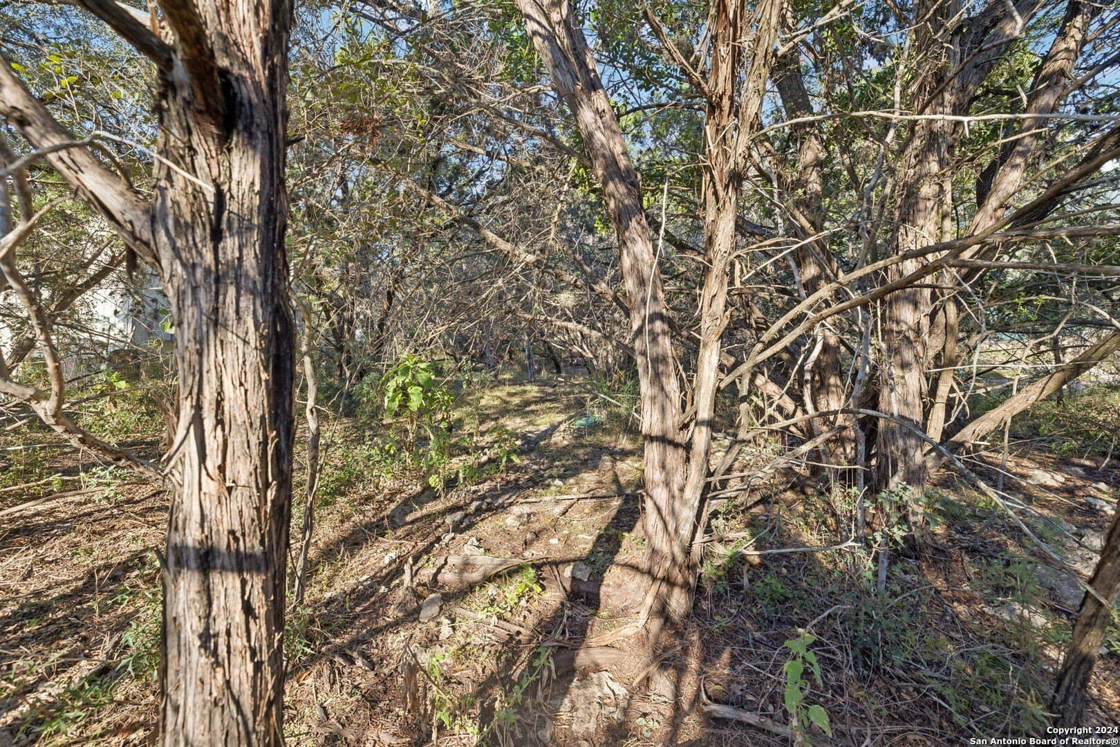0.37 acres in Comal County - photo 34