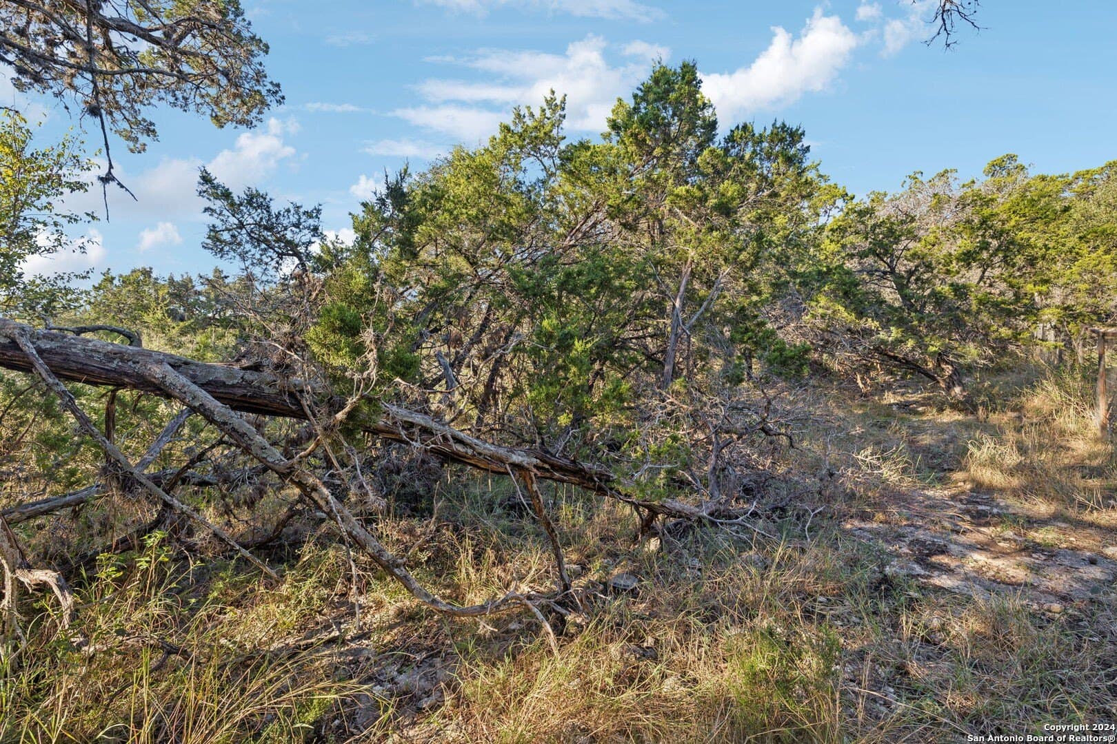 0.37 acres in Comal County - photo 35