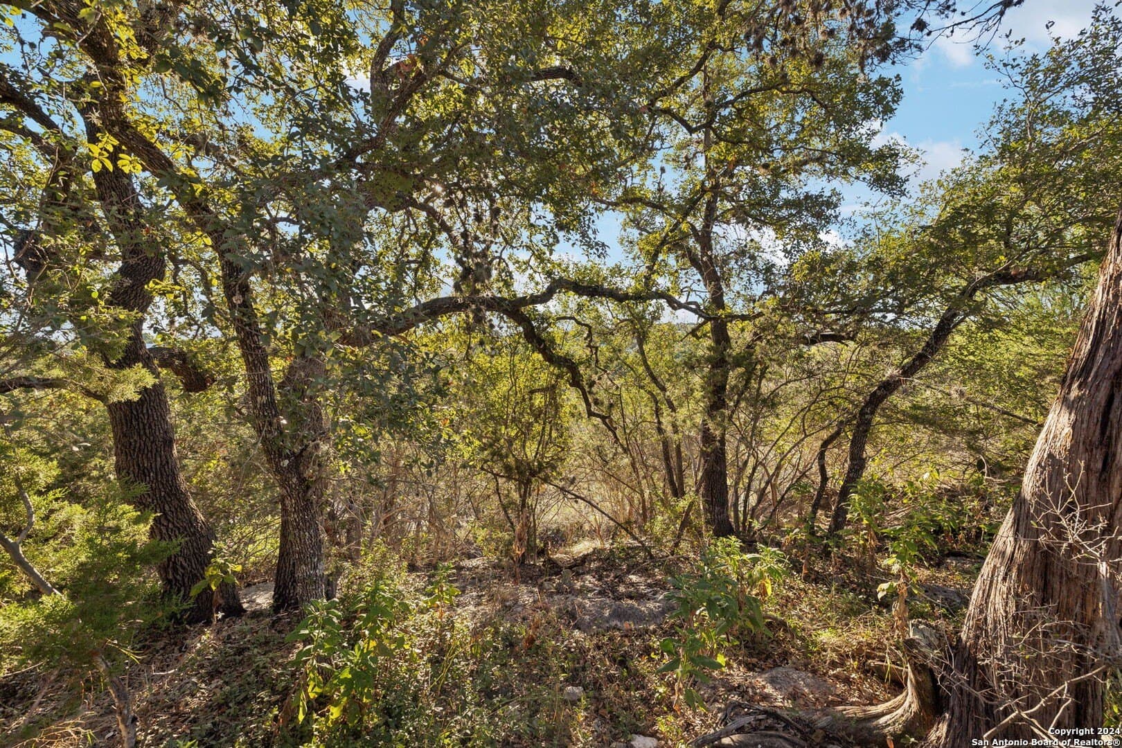 0.37 acres in Comal County - photo 36