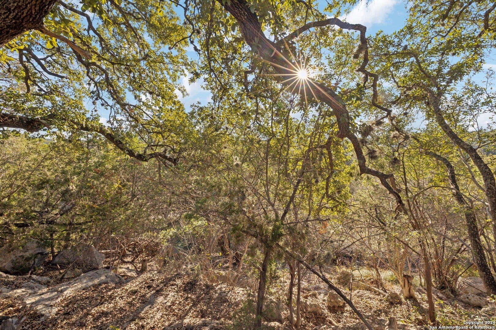 0.37 acres in Comal County - photo 37