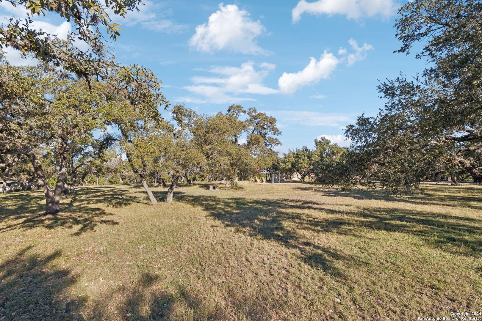 0.37 acres in Comal County - photo 48
