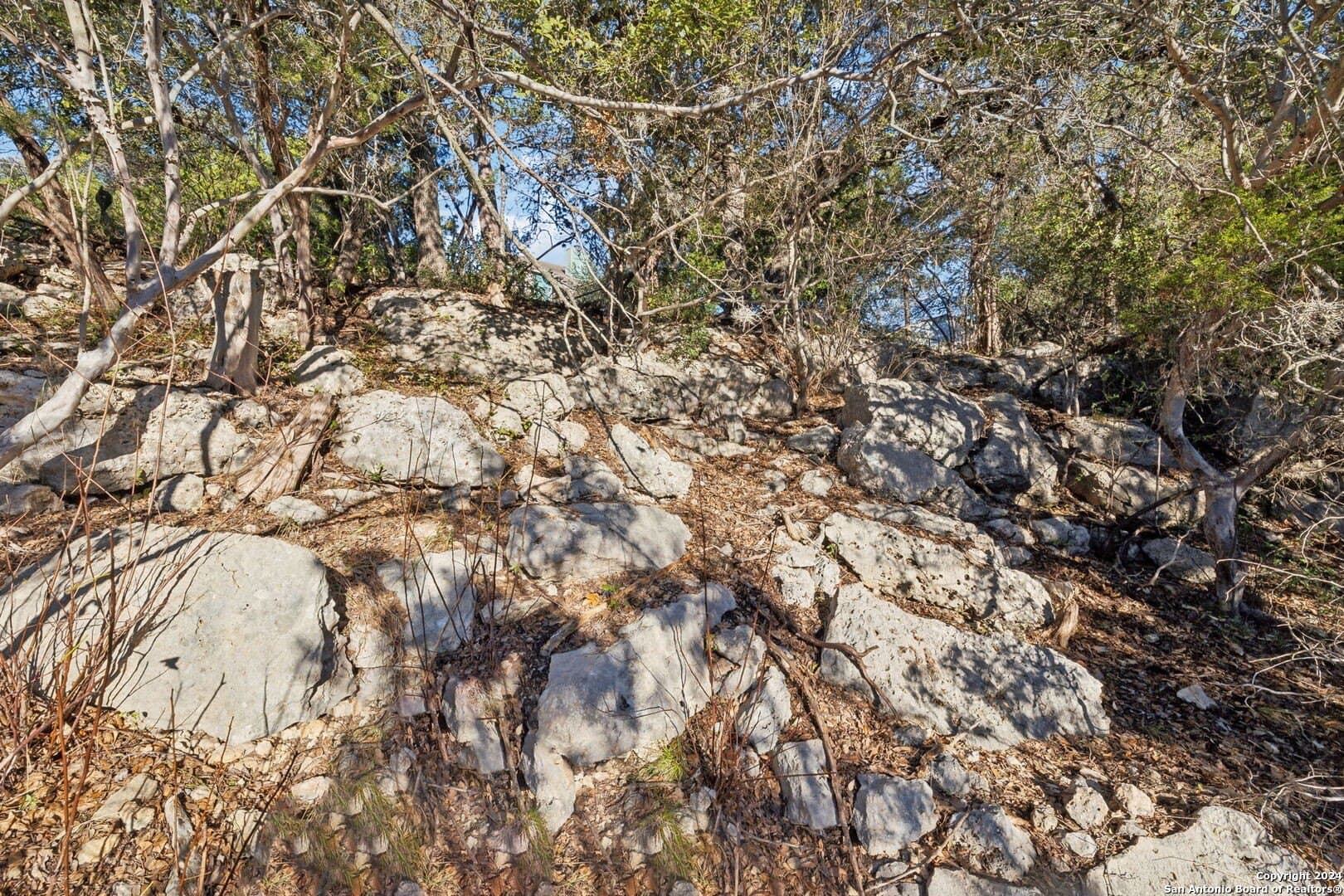 0.37 acres in Comal County - photo 38