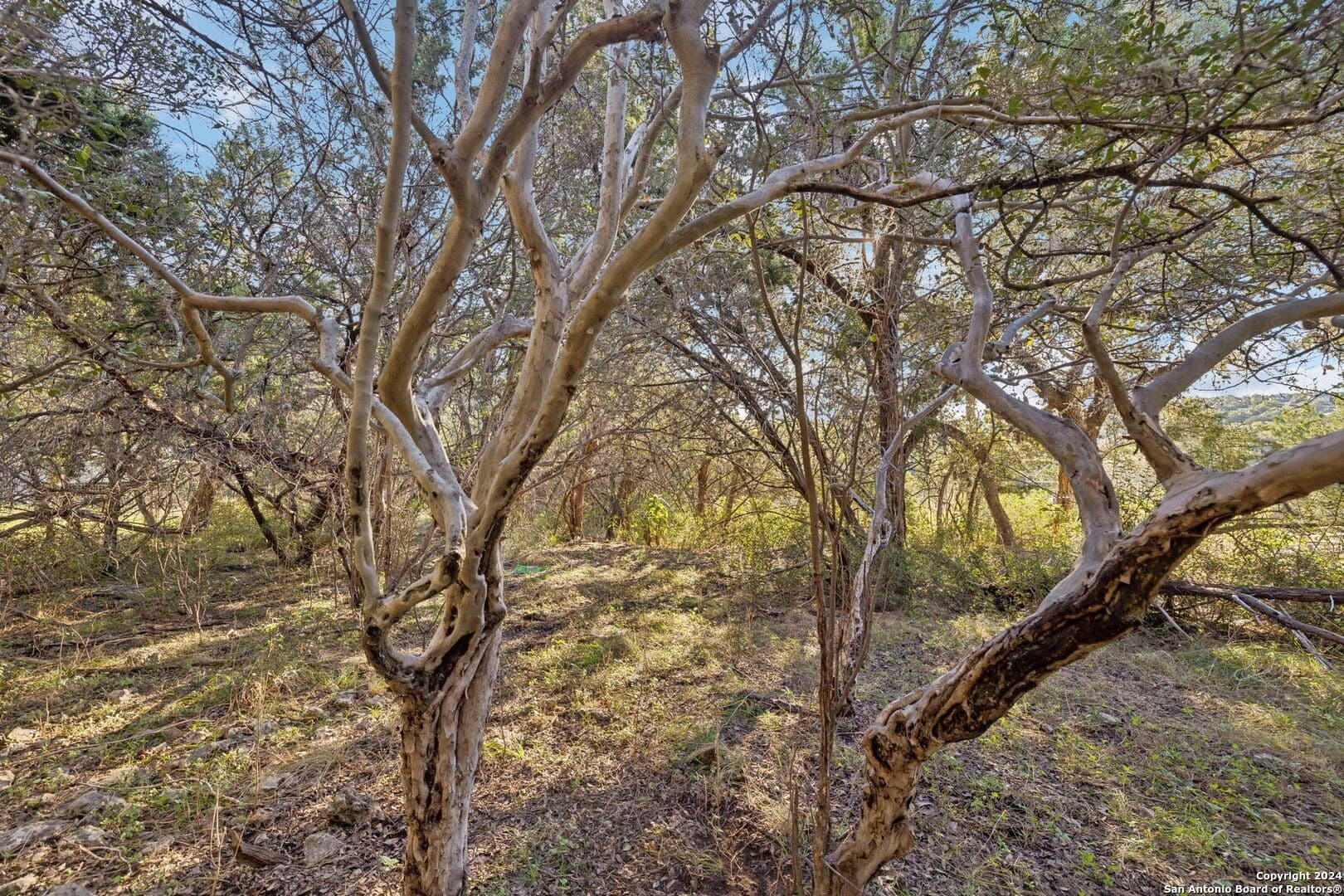 0.37 acres in Comal County - photo 33