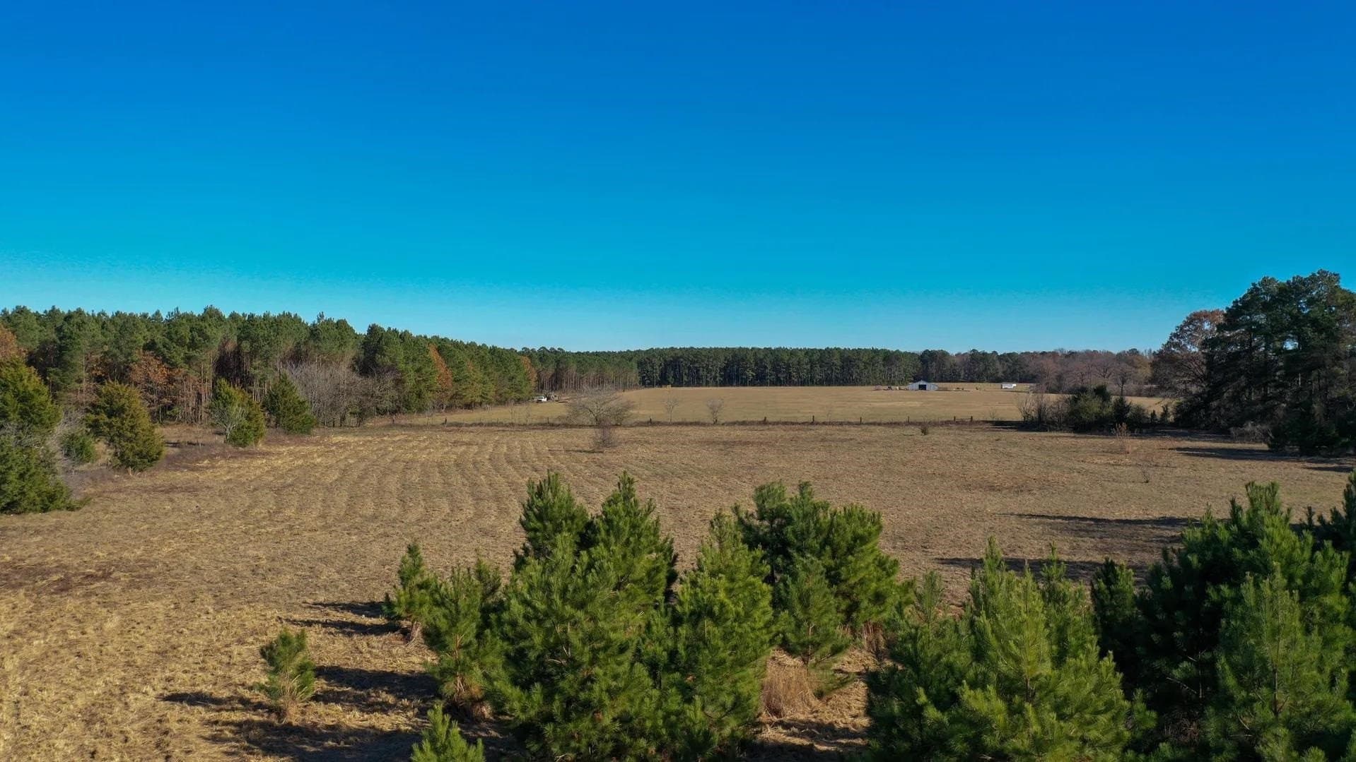 13.48 acres in Cass County - photo 9