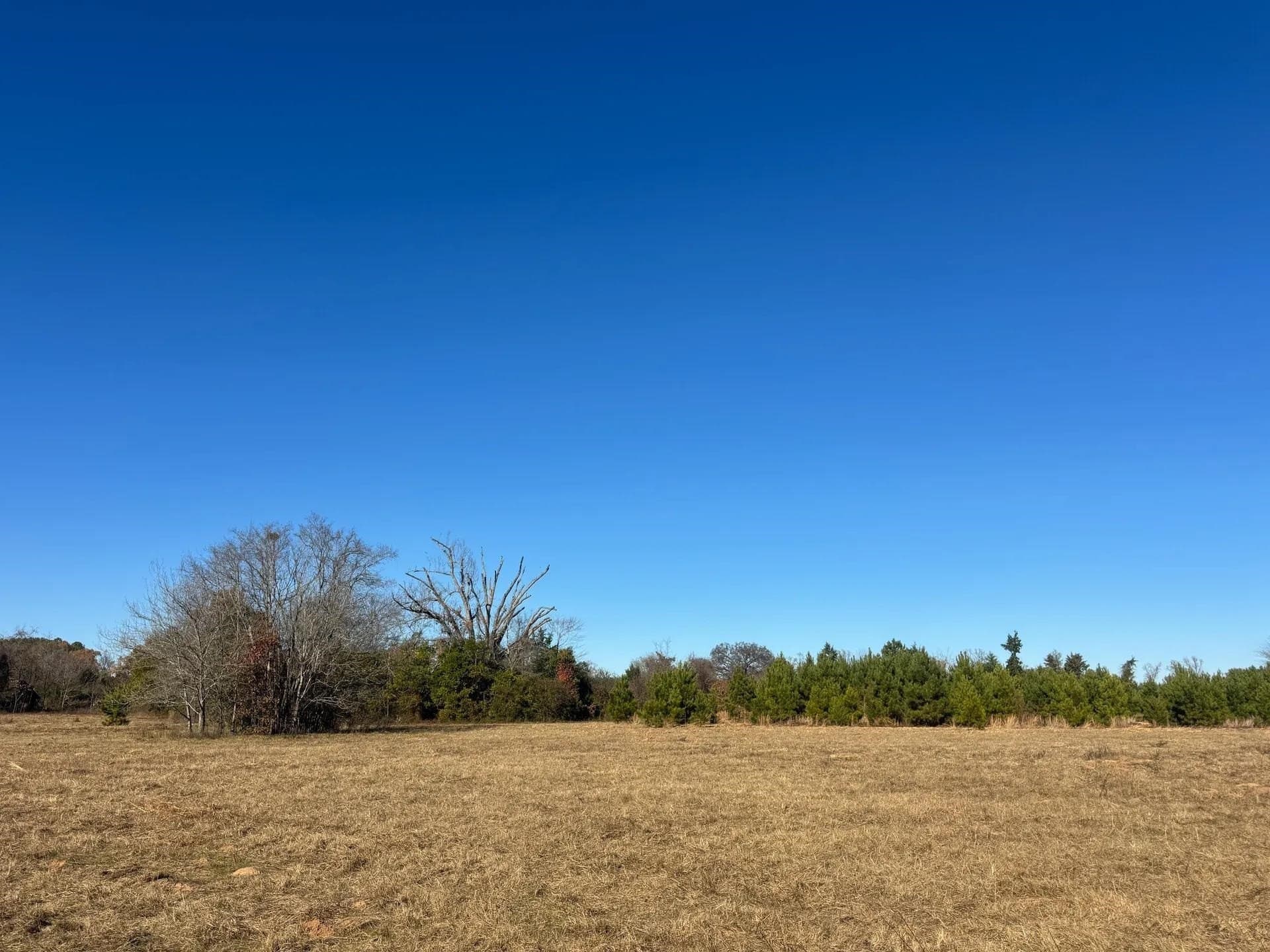 13.48 acres in Cass County - photo 14