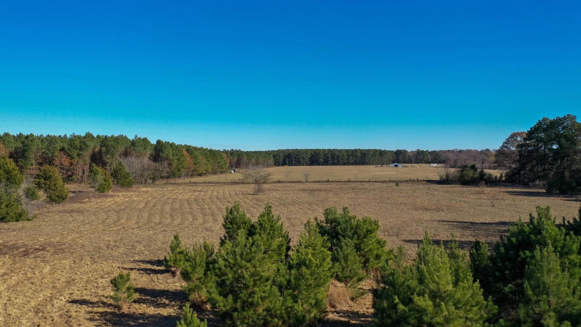 13.48 acres in Cass County - photo 10