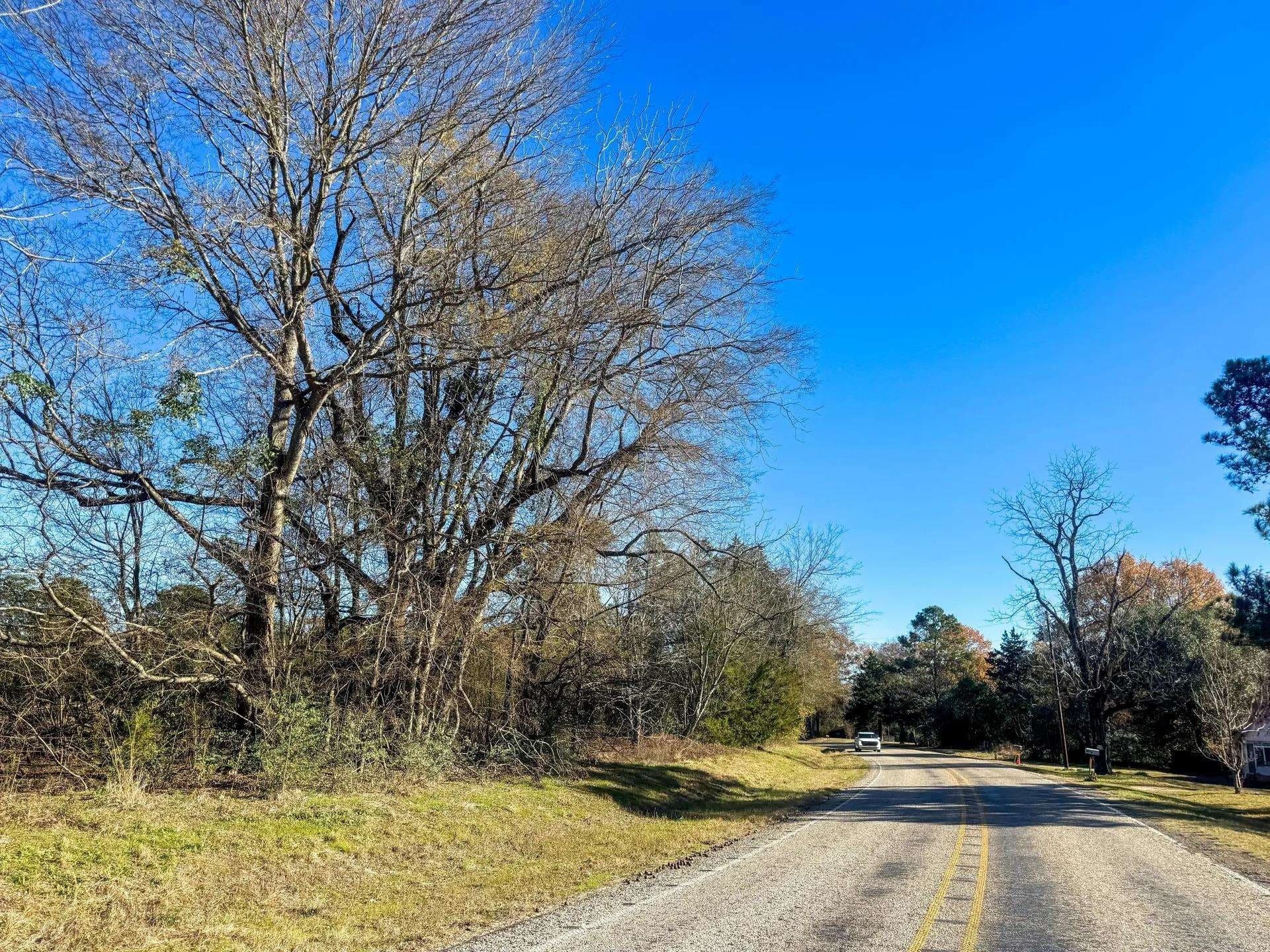 13.48 acres in Cass County - photo 16