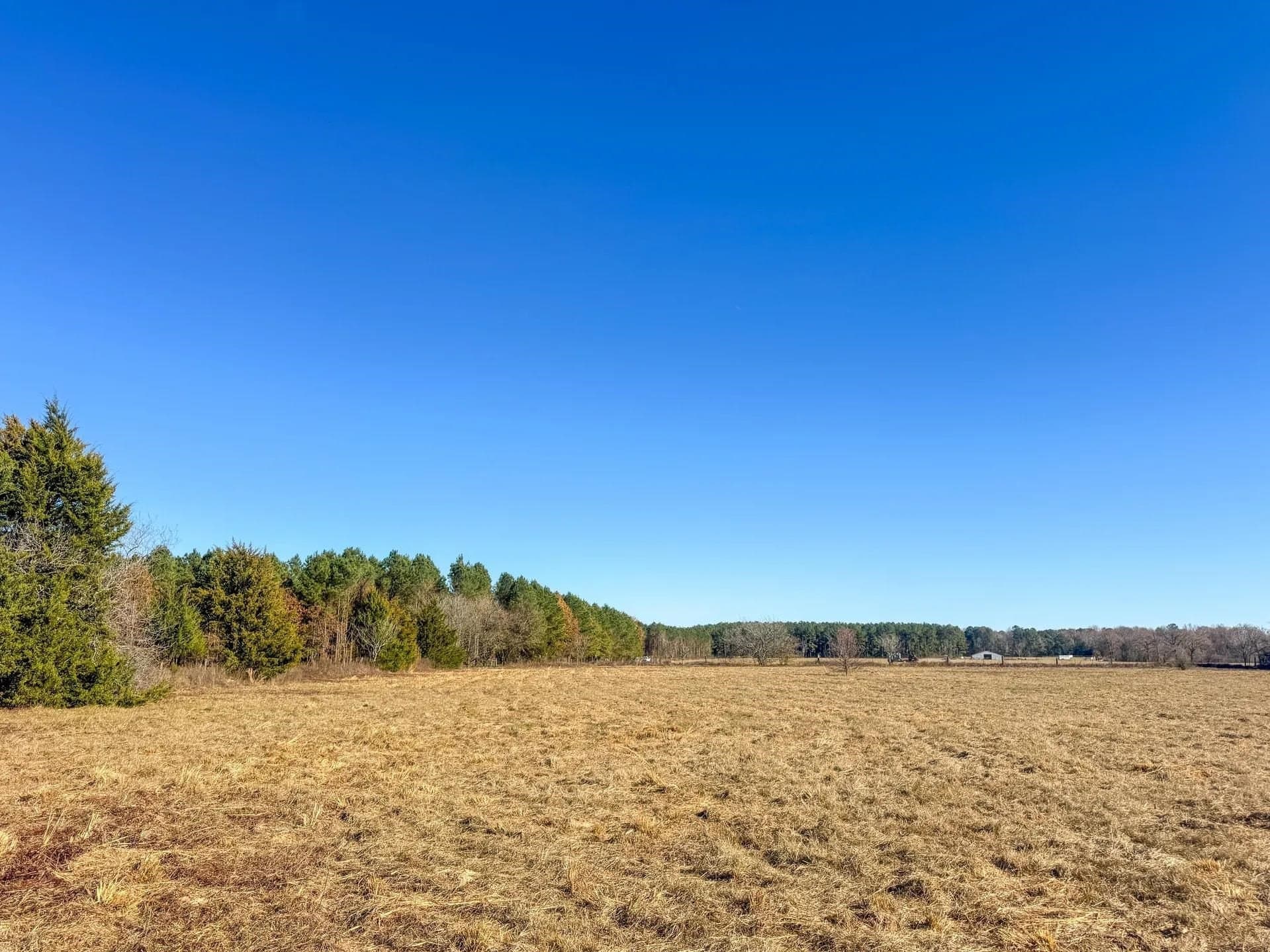 13.48 acres in Cass County - photo 15