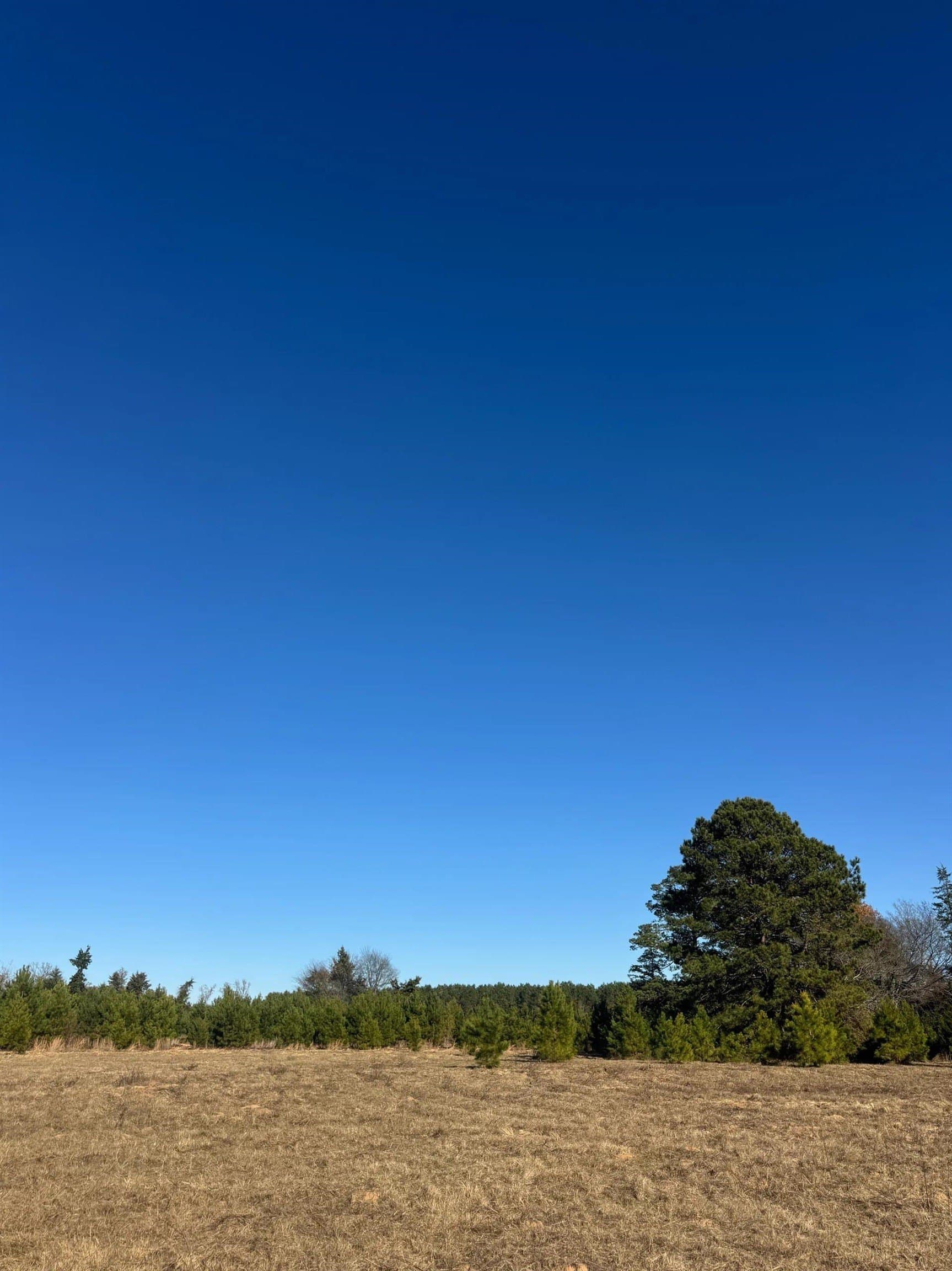 13.48 acres in Cass County - photo 12