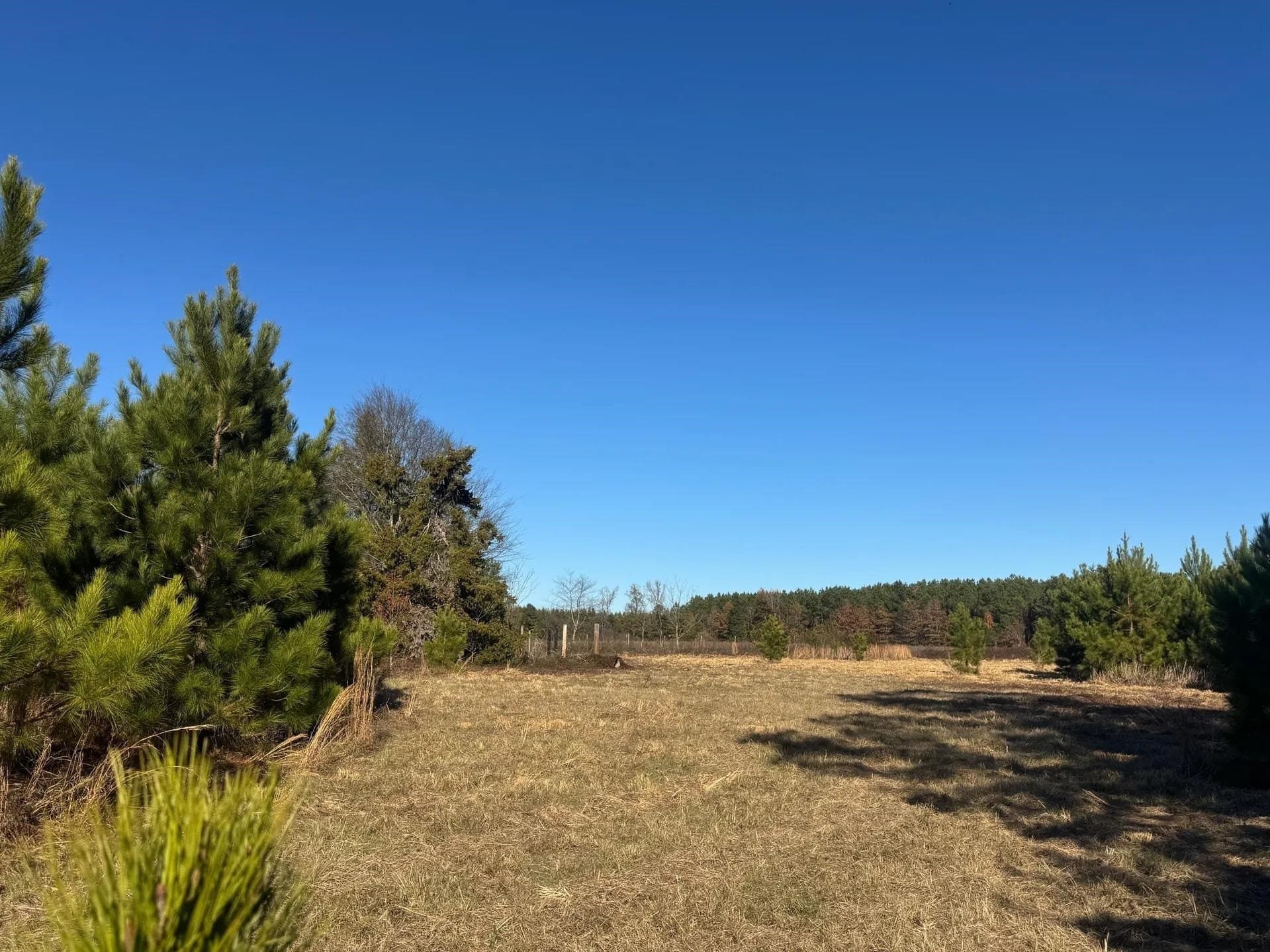 13.48 acres in Cass County - photo 11
