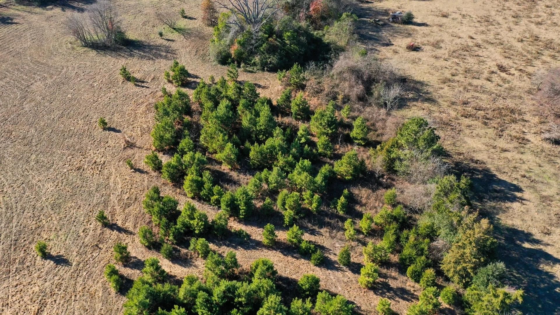 13.48 acres in Cass County - photo 6