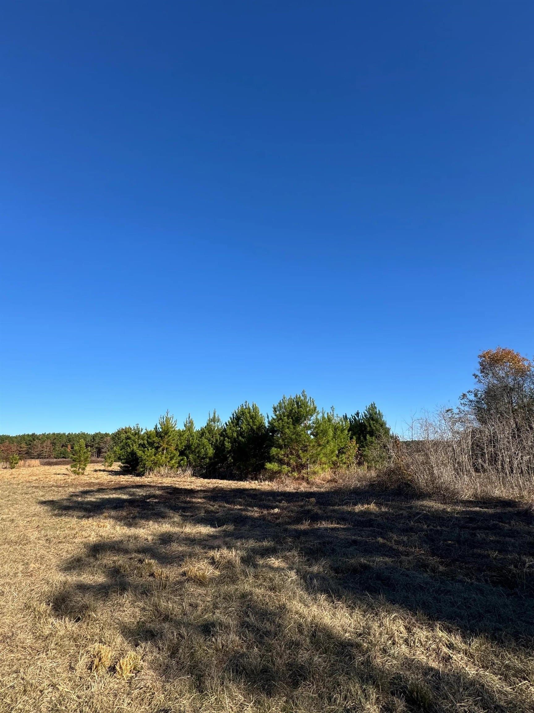 13.48 acres in Cass County - photo 13