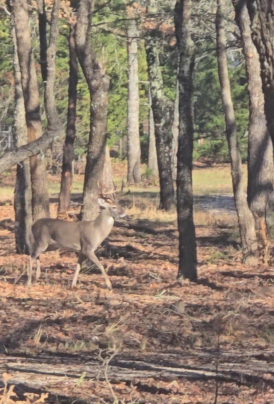 62.16 acres in Hunt County - photo 31