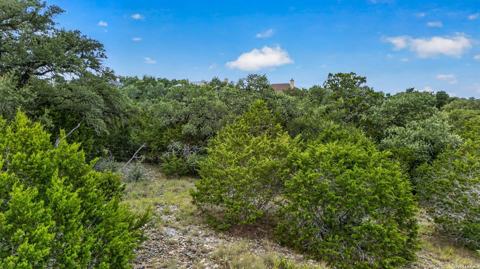 1.01 acres in Comal County - photo 9