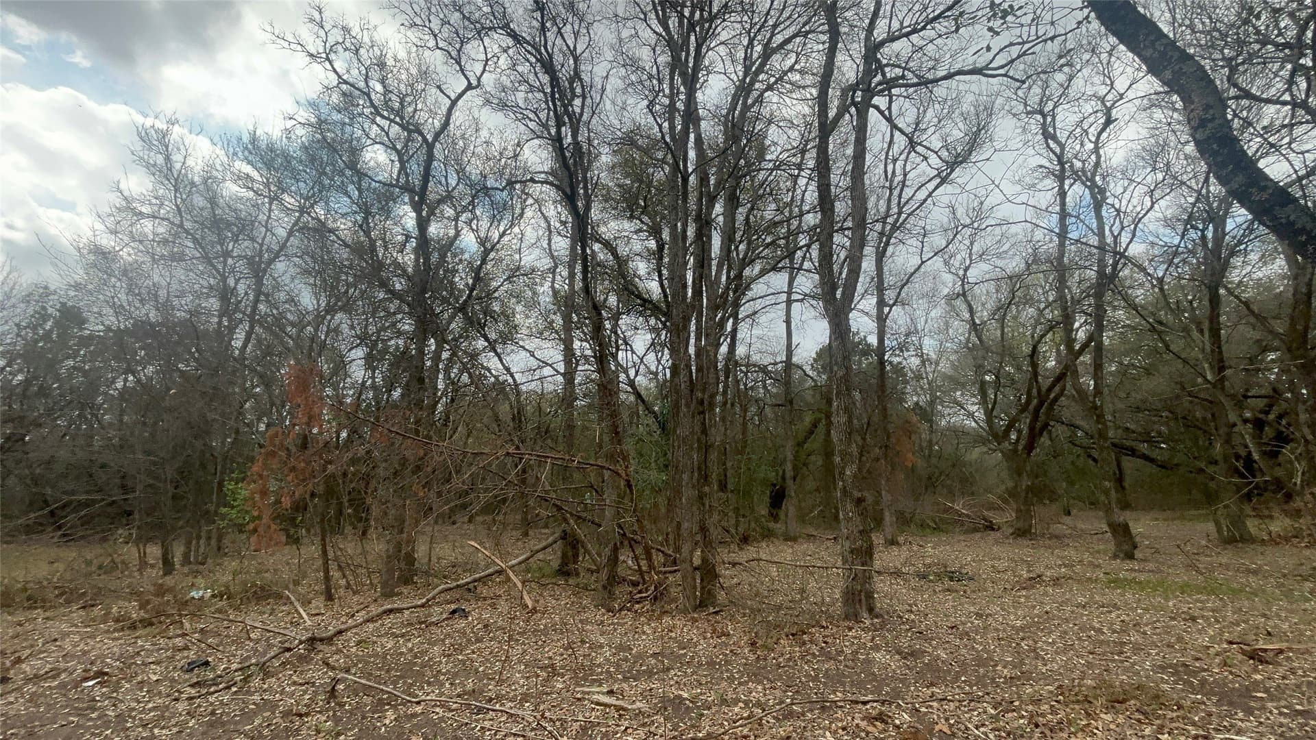 0.34 acres in McLennan County - photo 11