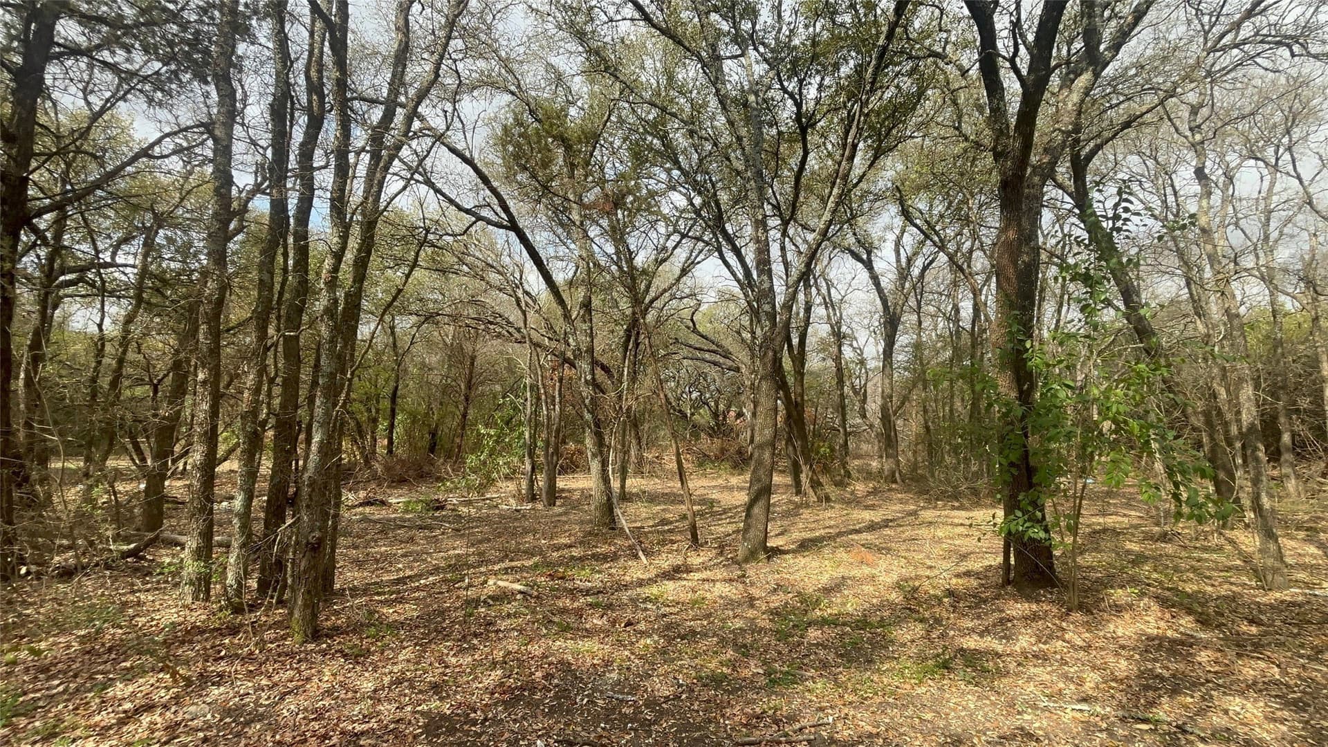 0.34 acres in McLennan County featured view