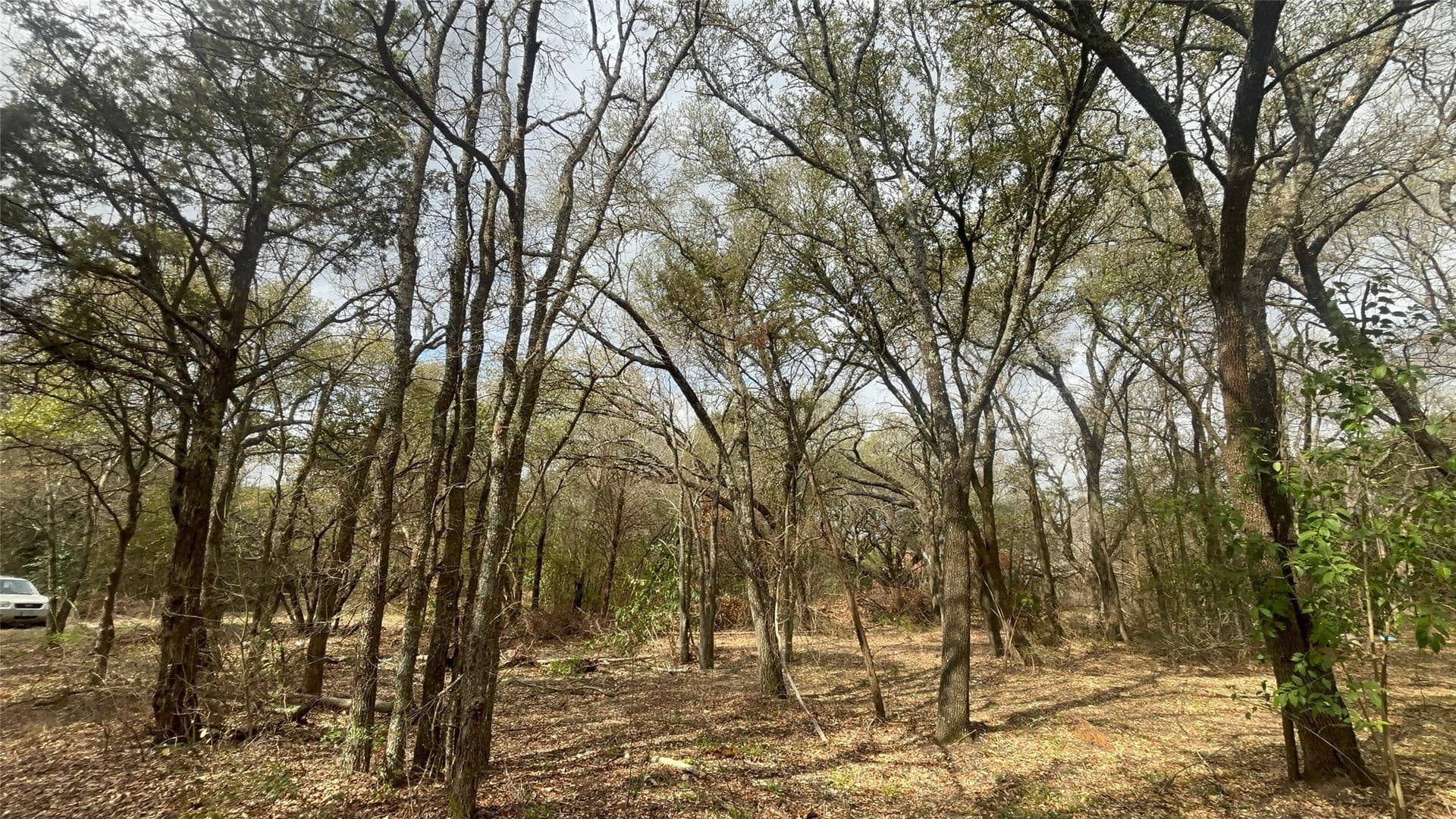 0.34 acres in McLennan County gallery image 4