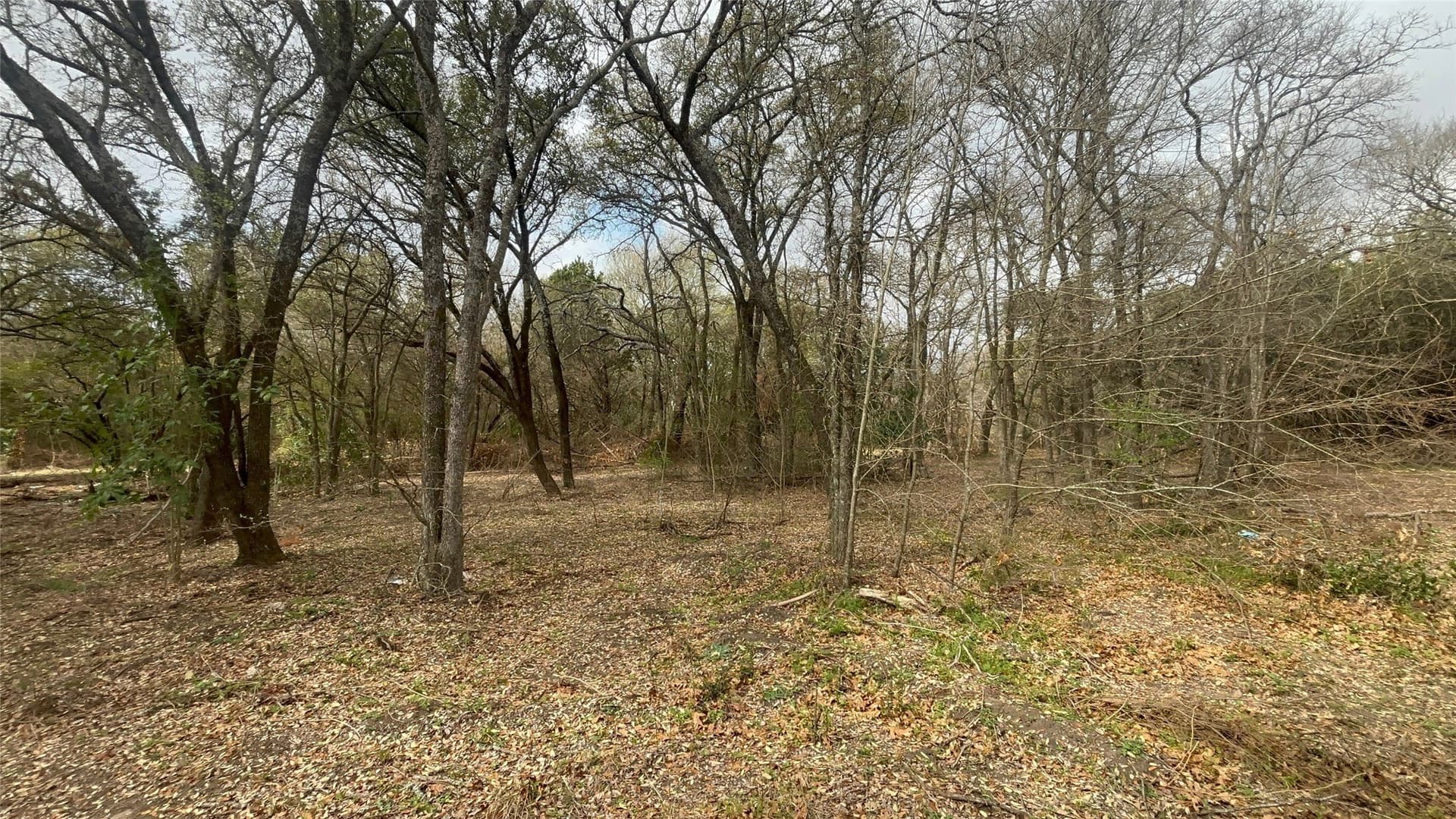 0.34 acres in McLennan County - photo 7