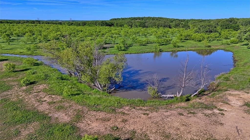 20 acres in Montague County gallery image 4