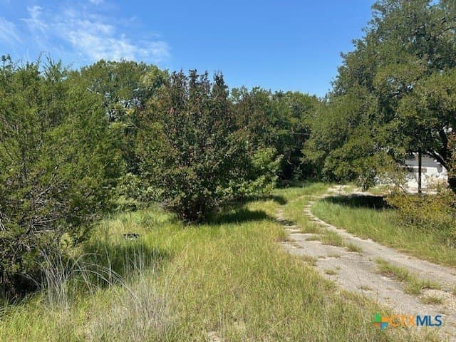 12 acres in Coryell County - photo 3