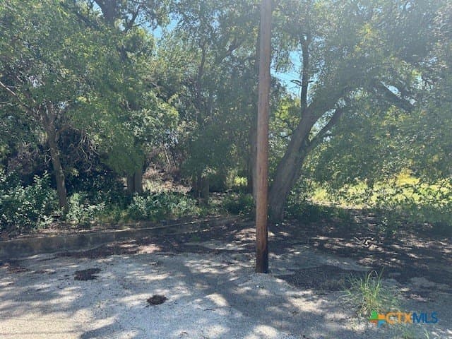 12 acres in Coryell County - photo 6